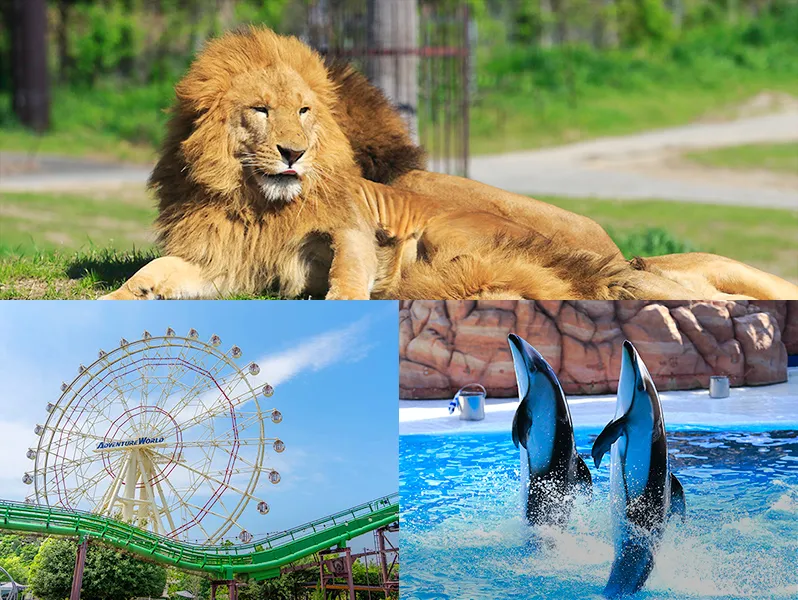 動物園と遊園地、水族館の画像を組み合わせたコラージュ。パンダ、観覧車、イルカショーが楽しめる。